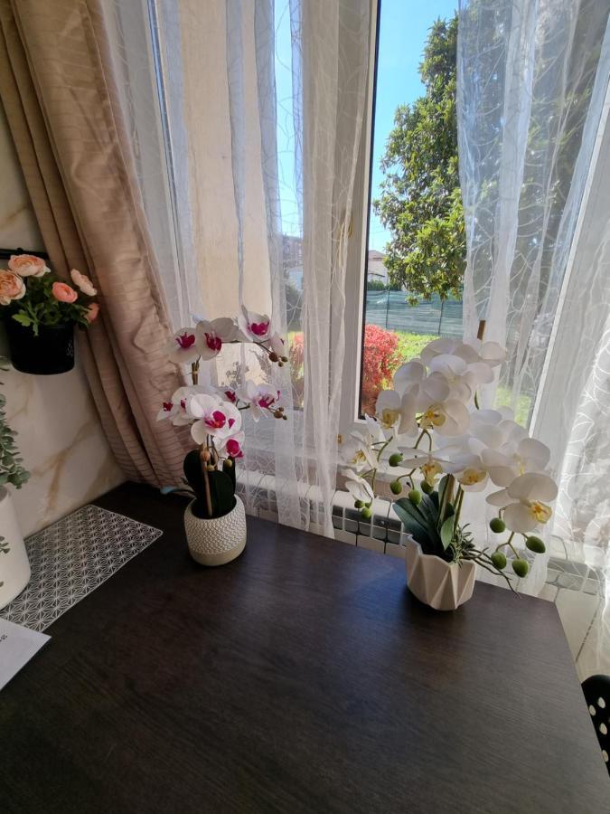 Alloggio Silva Gorycja Zewnętrze zdjęcie